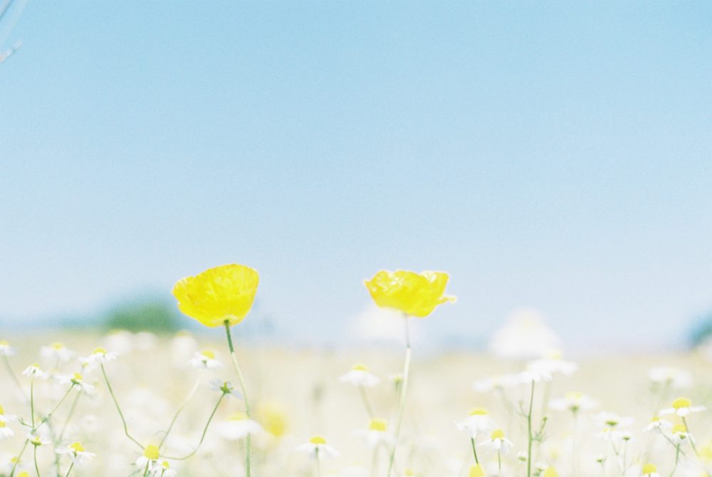 写真 4051687-08-10 9 58 28 (2)