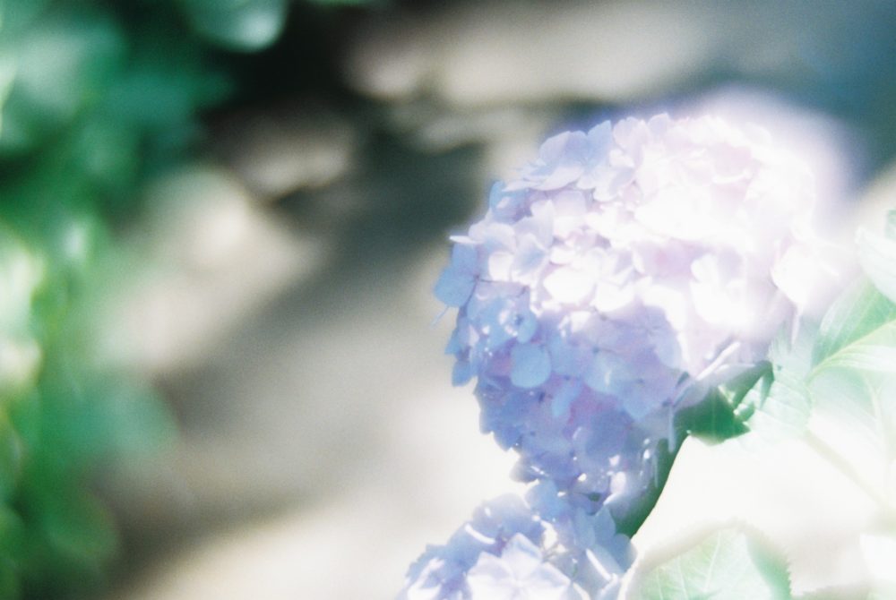 写真 3340642-02-17 2 58 36 (1)