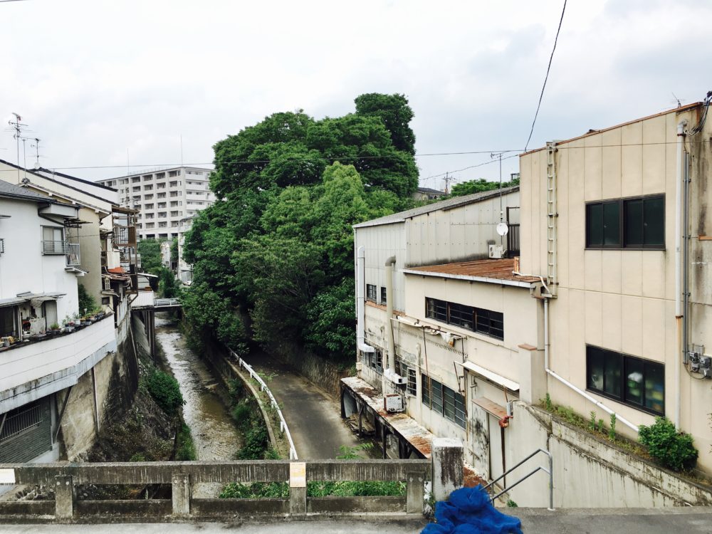 写真 2017-06-01 15 26 33