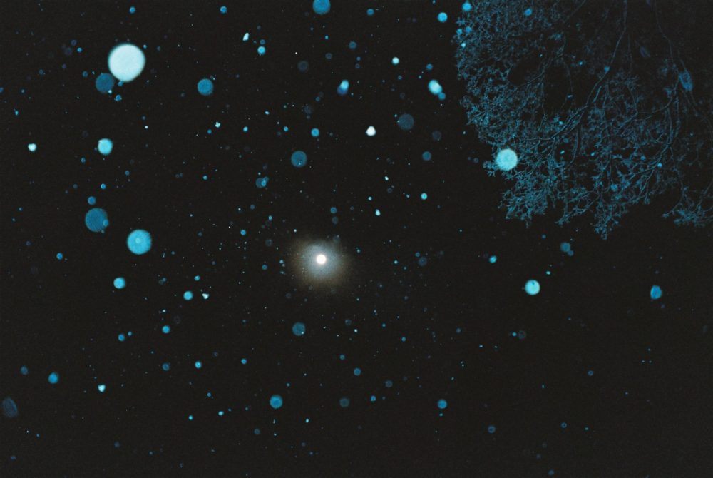 FH010008